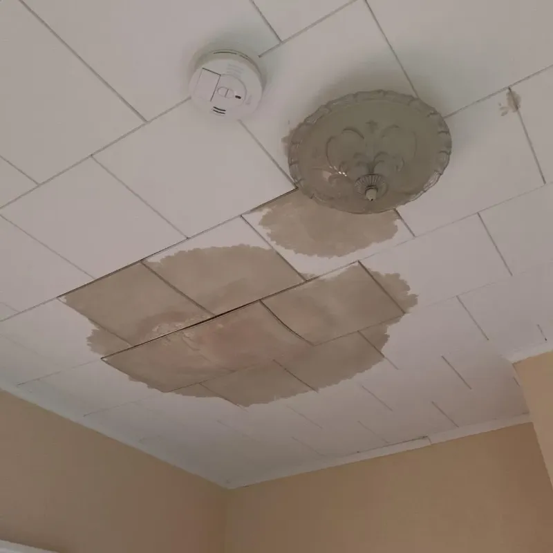 Ceiling Water Damage Repair in Silverton, OH