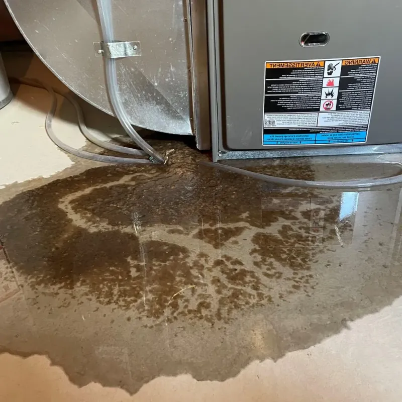 Pipe Burst and Leak Restoration in Silverton, OH