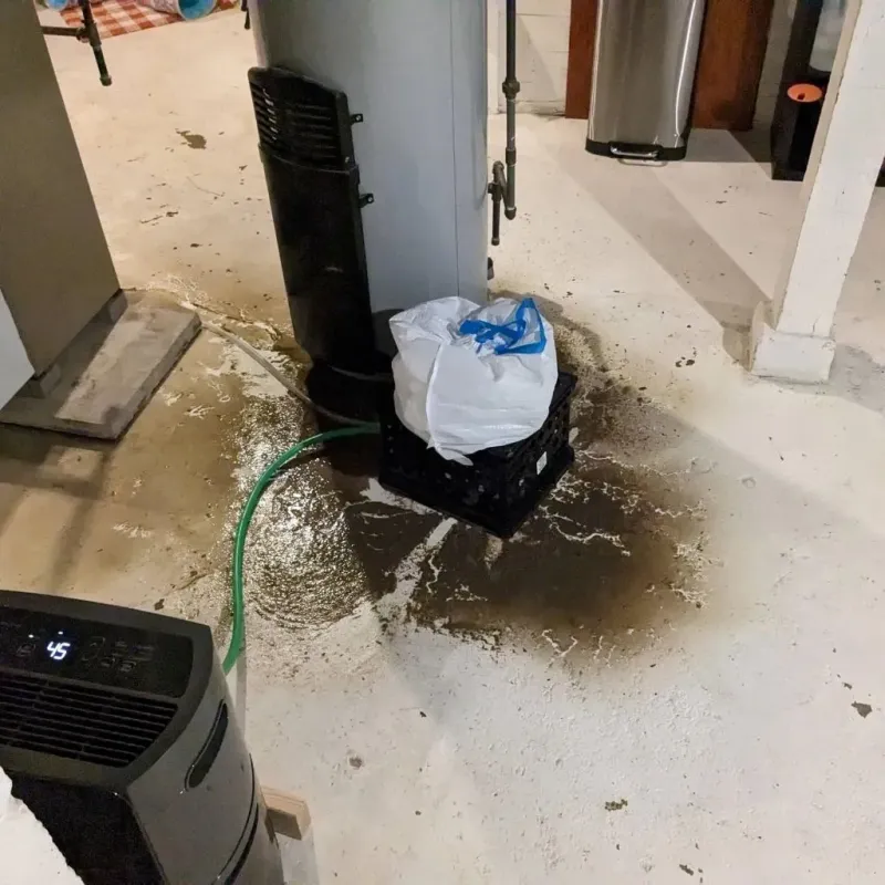 Sewage Backup Cleanup Service in Silverton, OH